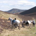 Highlight for Album: Riding Borders